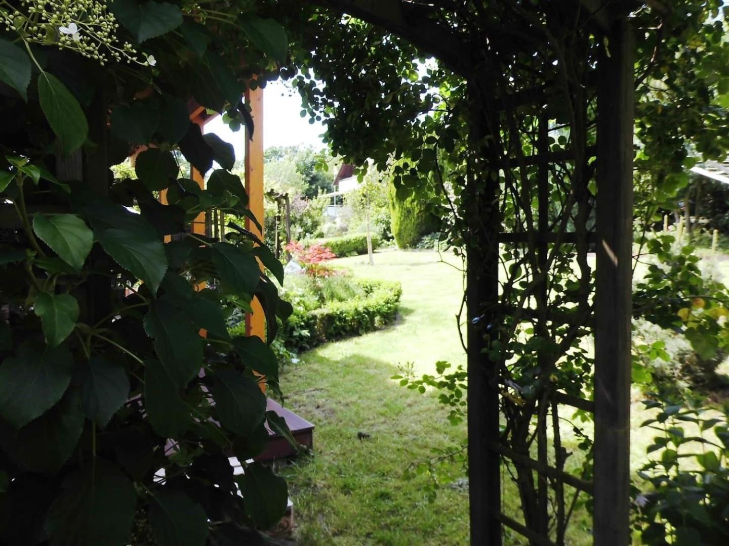 Farbenfrohe Ferienwohnung Detmold Exteriér fotografie